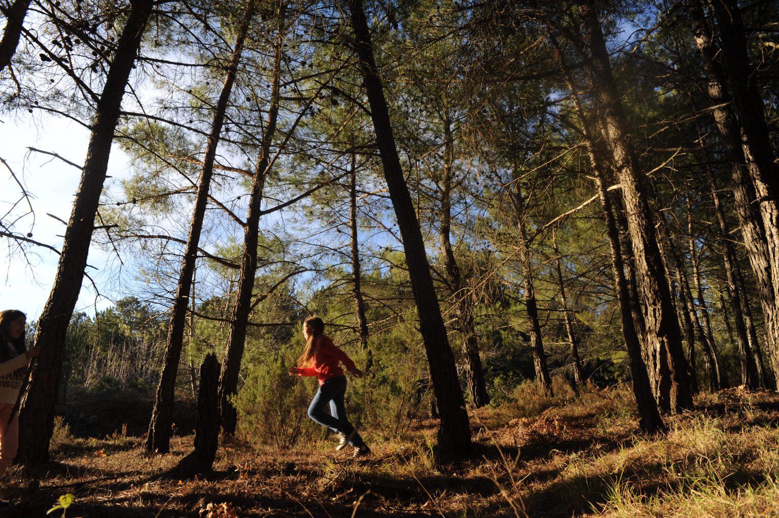 Skiritida Forest