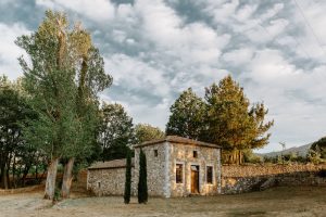 3(1) – μεγάλη